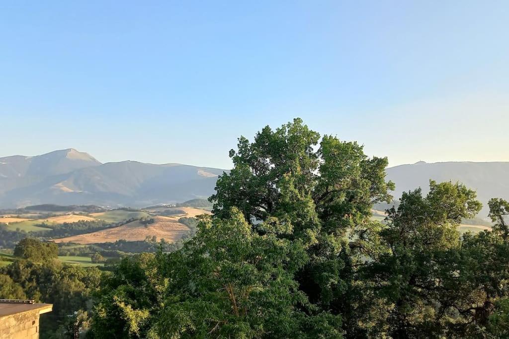 Pigno, Appartamento In Campagna Cagli Exterior photo